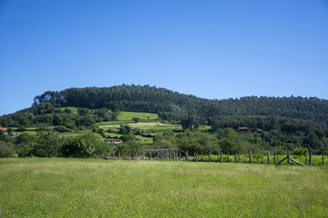 Fototapeta premium Asturian landscape 77