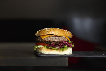 Delicious Homemade Burger