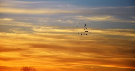 STORMO AL TRAMONTO FEBBRAIO 2017