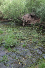 River scenery in Fonte da Benemola. Loule, Algarve, Portugal