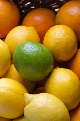 Citrus Fruit Basket Close Up Topped with Lime