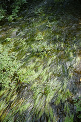 River scenery in Fonte da Benemola. Loule, Algarve, Portugal