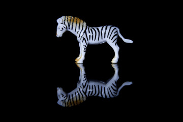 Fototapeta na wymiar Animal plastic toy on a reflective black surface. Plastic zebra isolated on black background.
