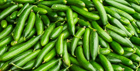 fresh cucumbers. food background