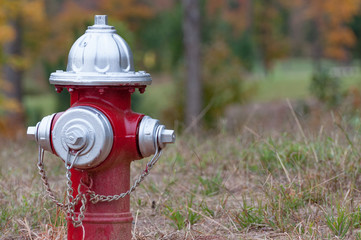 Red and Silver Fire Hydrant in Field