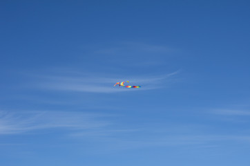 kite in the sky