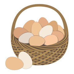 Eggs in basket isolated on white background vector illustration