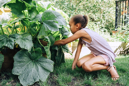 Mixed Race girl reaching in leafy plant