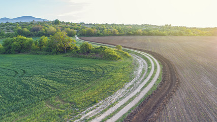 Fototapeta na wymiar Old Dirt Road Between Two Farming Fields In Sunny Day