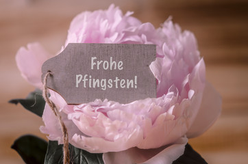 Frohe Pfingsten, Pfingstrose