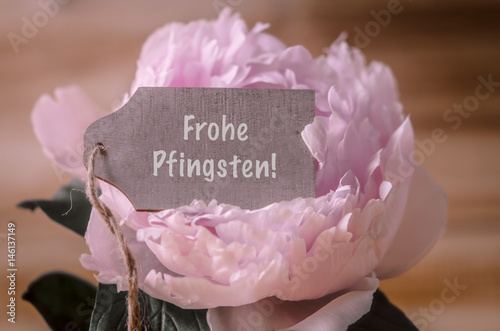 "Frohe Pfingsten, Pfingstrose" Stockfotos und lizenzfreie ...