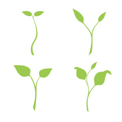 silhouette of plants, vector, set of illustrations with phases plant growth