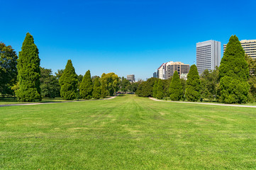 Fototapeta premium Urban landscape of green grass lawn