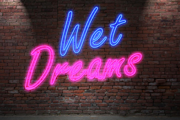 Wet Dreams Neon