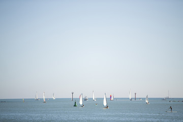 Windsurf