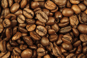 Roasted coffee beans