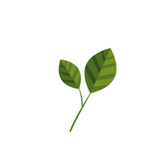 Leaf natural ecology icon vector illustration graphic design