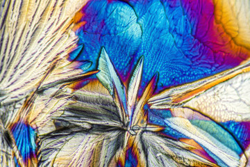 microscopic Galactose crystals