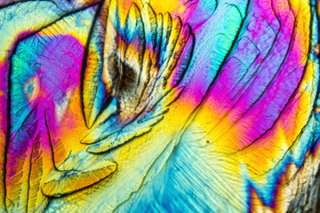 Obraz na płótnie Canvas microscopic Galactose crystals