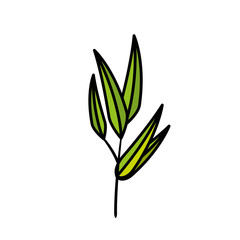 Leaf natural ecology icon vector illustration graphic design