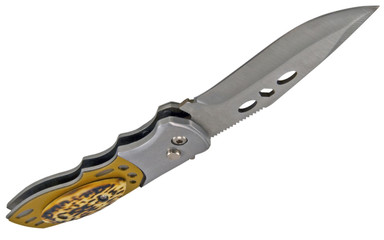 Clasp-knife isolated over white