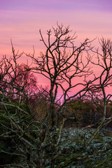 Red orange violet sunset scenery sky magenta