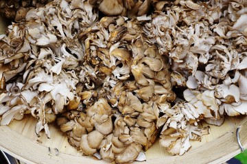 Basket of hen-of-the-wood maitake mushrooms (grifola frondosa) at the farmers market