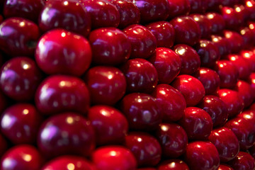 Cherry selection, background