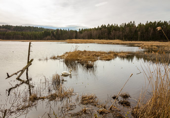 Sun behind clouds over lake, Gjennestadvannet, Stokke, Vestfold in Norway