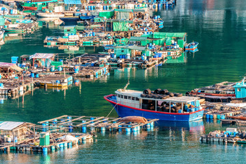 Obraz premium Fish farming rafts in the bay of Sok Kwu Wan fisherfolks village viewed from the observation deck of the Family Walk trail on Lamma Island, Hong Kong