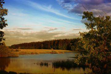 view of a small lake and a forest