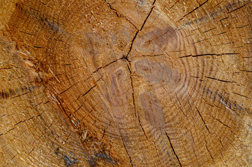 Fototapeta premium Wooden texture for background