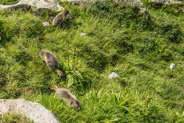 Tour du Mont Blanc trek takes hikers through France, Switzerland and Italy over the course of a week
