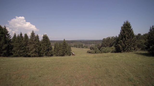 Frau auf Pferd - Panorama Landschafts Aufnahme von oben

Eine hübsche Frau reitet auf einem Pferd über Felder im Sommer. Die Kamera fliegt über die Landschaft und filmt von oben. Copter shot.