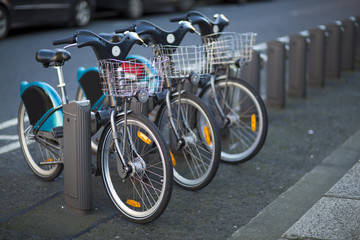 Bikes for rent