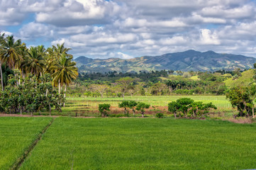 Fototapeta na wymiar Dominican Republic.