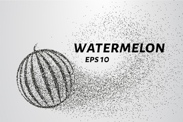 Watermelon of the particles. Watermelon consists of small circles and dots. Vector illustration