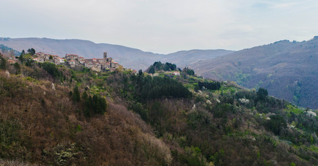 Fototapeta na wymiar Pesino di montagna