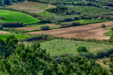 Sao Lourenco in Ericeira Portugal.