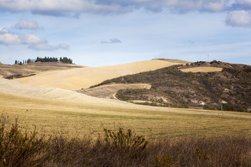 Rural agricultural land
