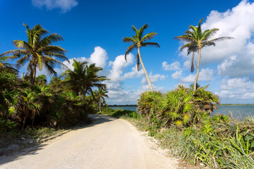 Tropical Dirt Road in Mexico