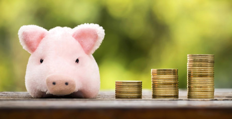 Web banner of money savings concept - coins with a pink pig