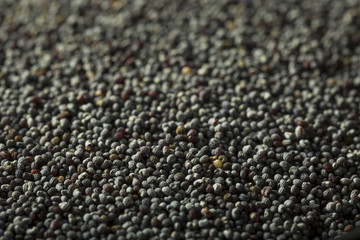 Raw Organic Black Poppy Seeds