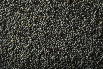 Raw Organic Black Poppy Seeds