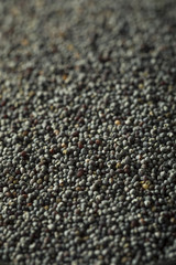 Raw Organic Black Poppy Seeds