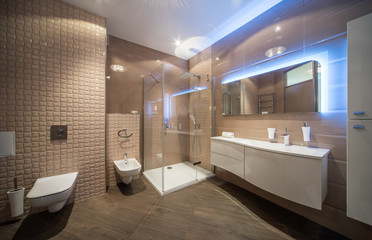 Bathroom with Shower cabin. Brown colors, contemporary interior.