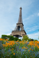 Fototapeta na wymiar Eiffel Tour in Spring
