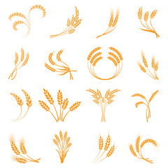 Symbols. for logo design Wheat. Agriculture, corn, barley, stalks, organic plants, bread, food, natural harvest, vector illustration on white background