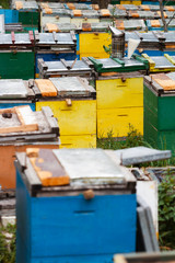 Fototapeta na wymiar bee smoker on top of beehives boxes