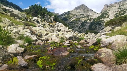 Spring in the mountain